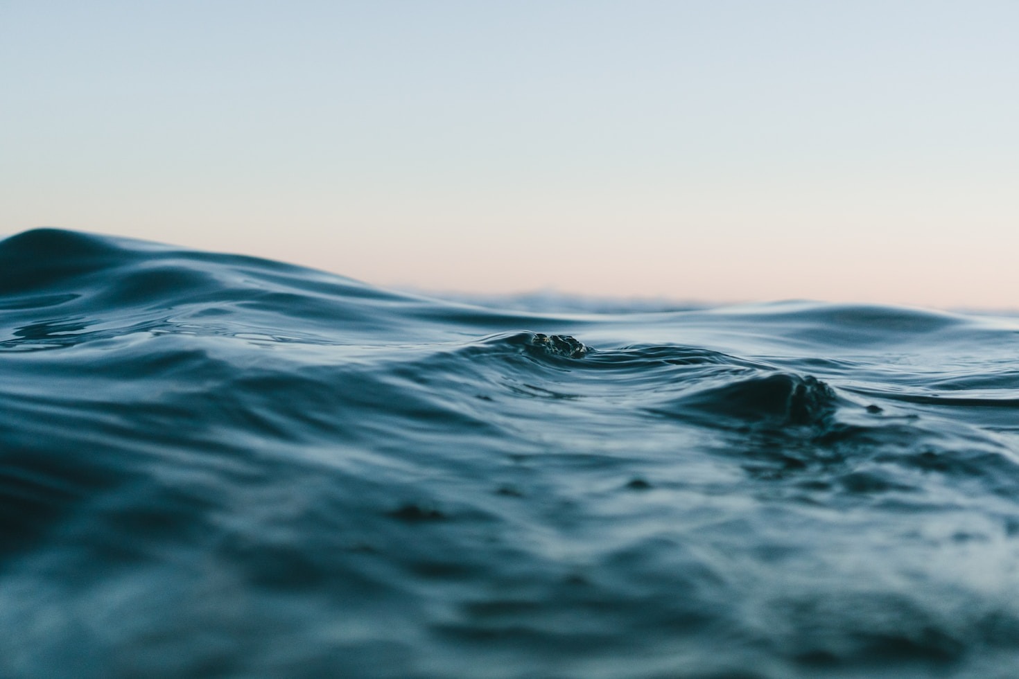 How Your Actions Impact Marine Life